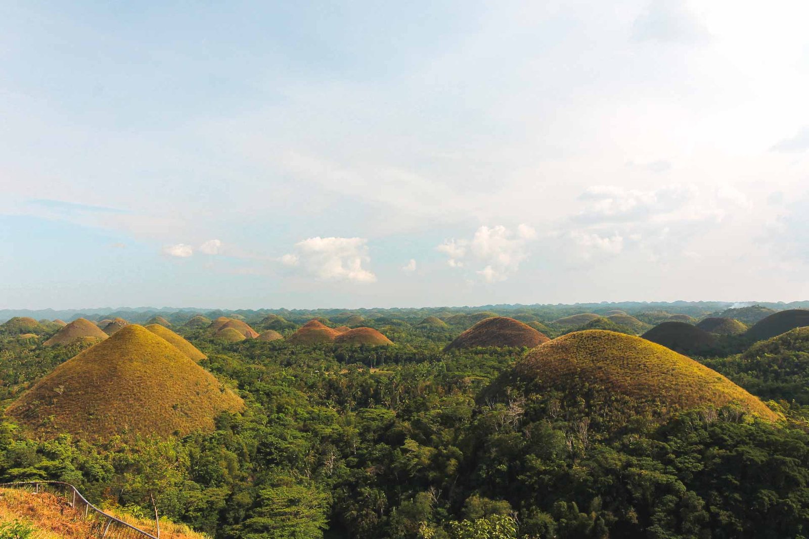 chocolate hills Bohol 