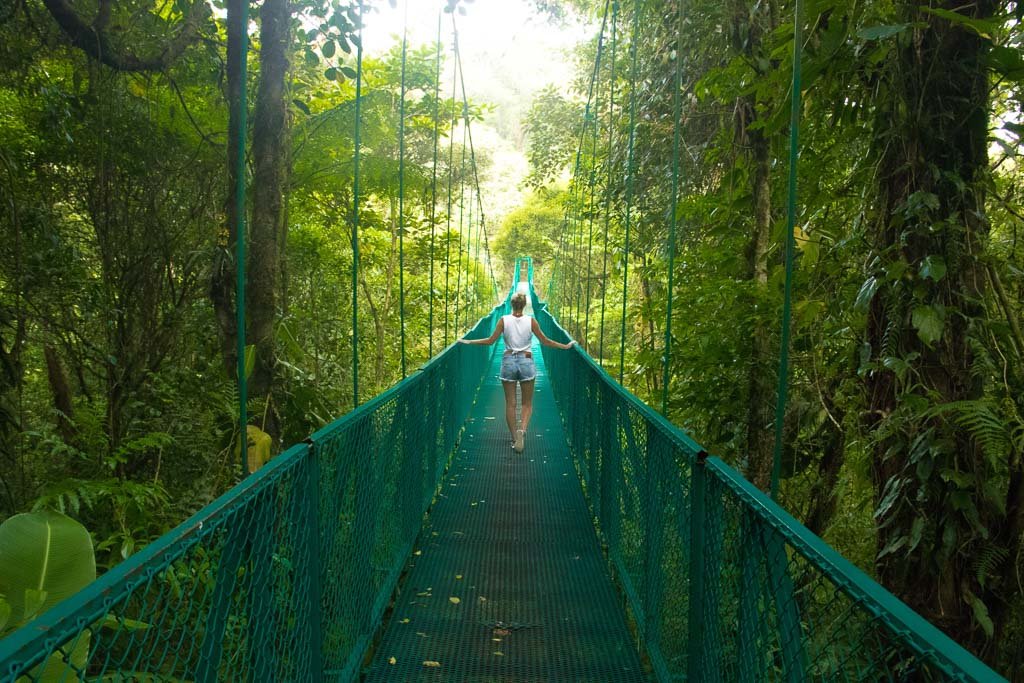 Hanging bridges in the Monteverde Cloud Forest Reserve