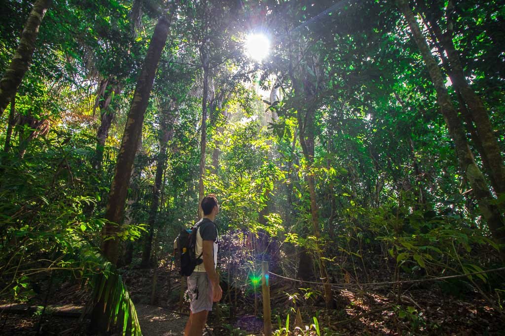 Manuel Antonio Jungle