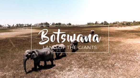 Botswana - Acacia Africa