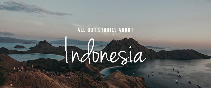 read all stories about indonesia